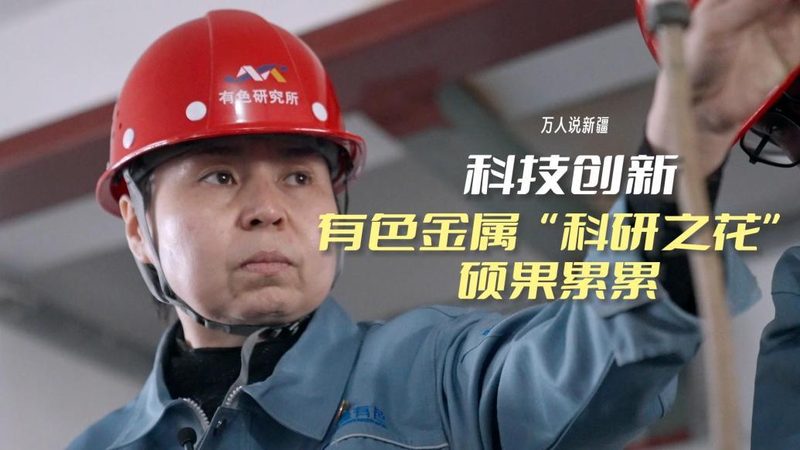 科技公司批发价格：揭秘背后的逻辑与考量**